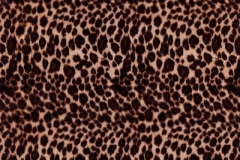 WTP-129 Cheetah