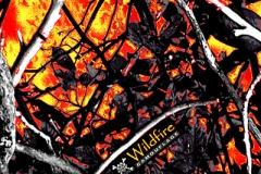 WTP-625 Wildfire Camouflage